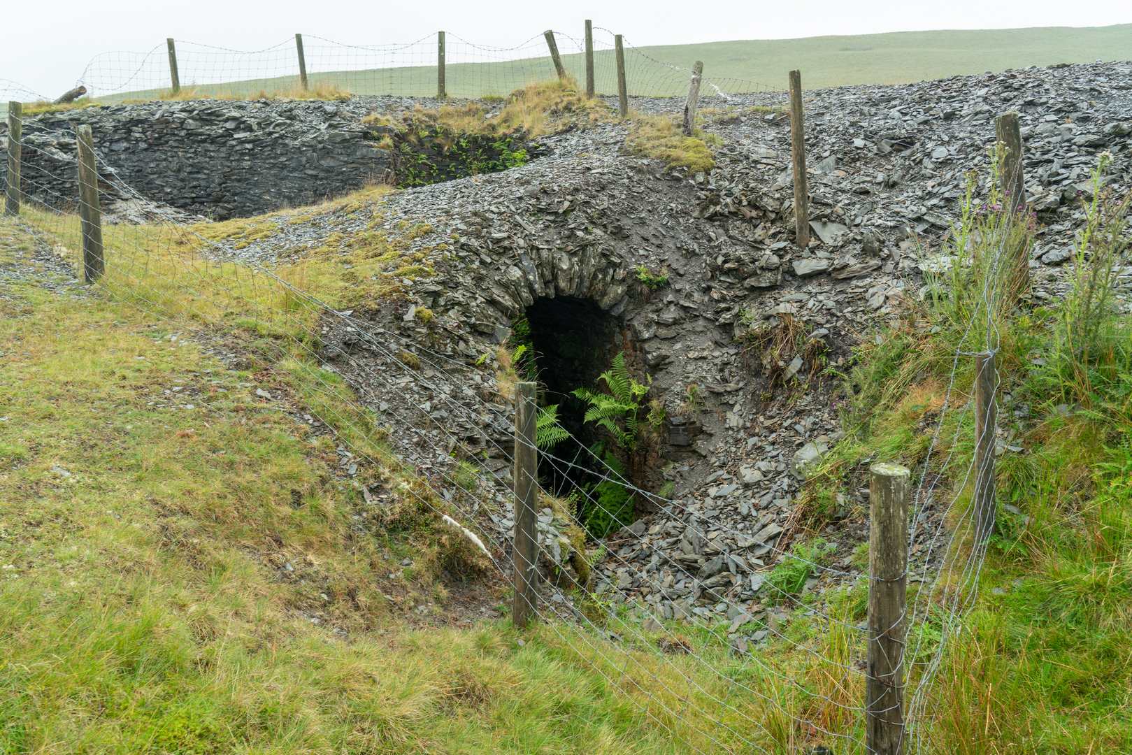 Shaft Glas Esgair Hir 2024